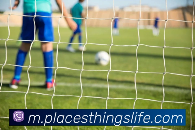 核心证书